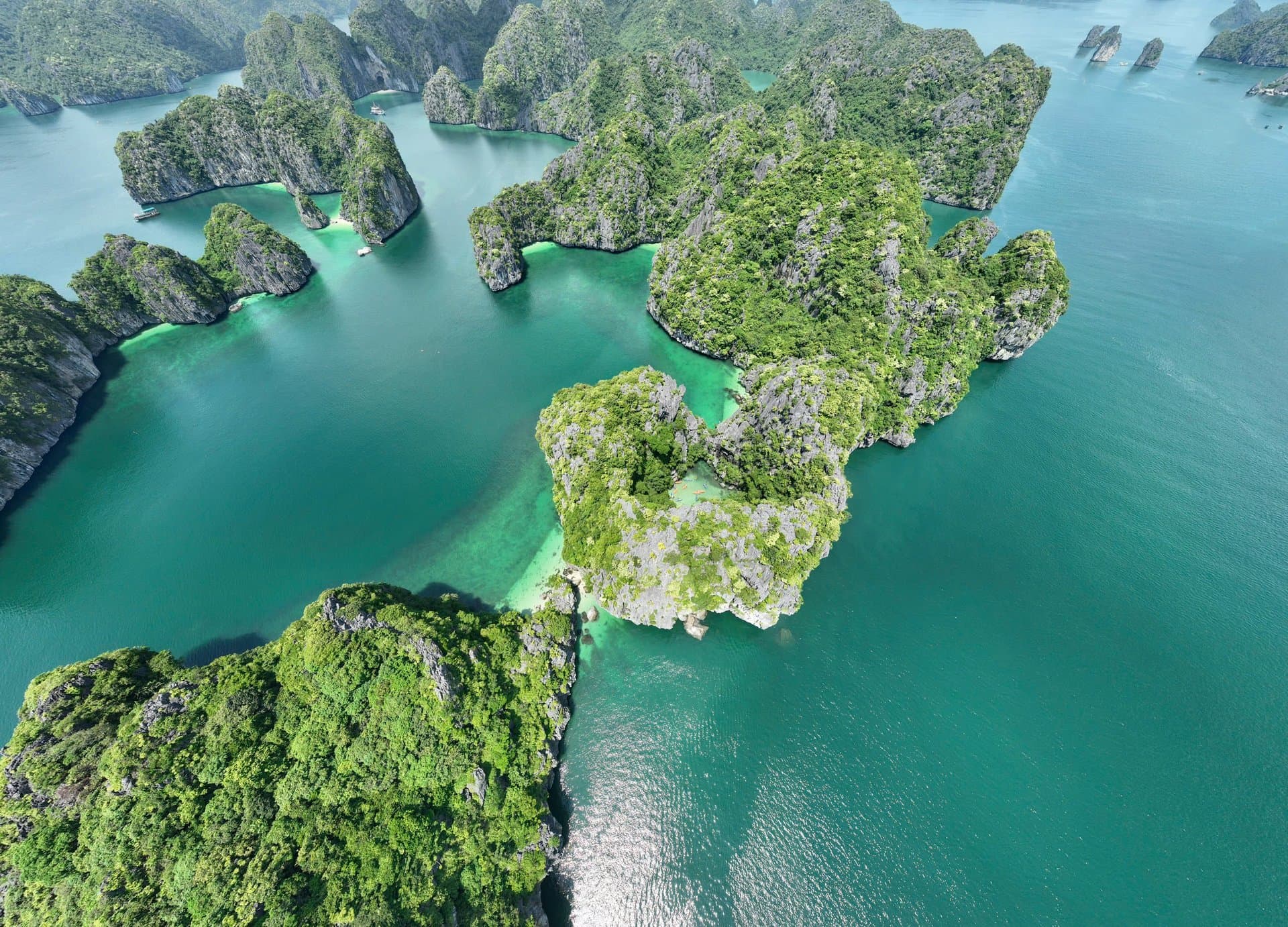 Full-Day Lan Ha Bay Tour