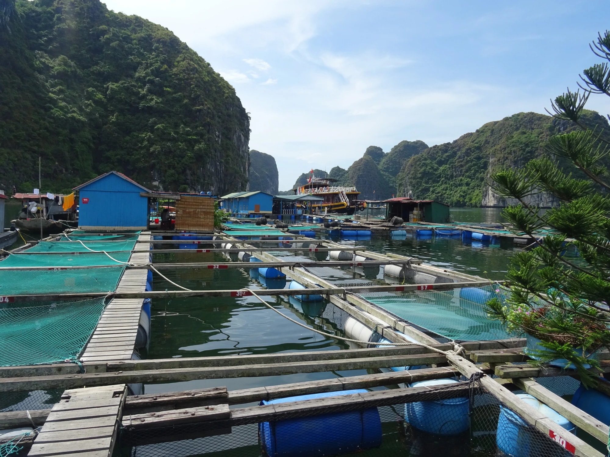 How Are Floating Houses Built on Lan Ha Bay?